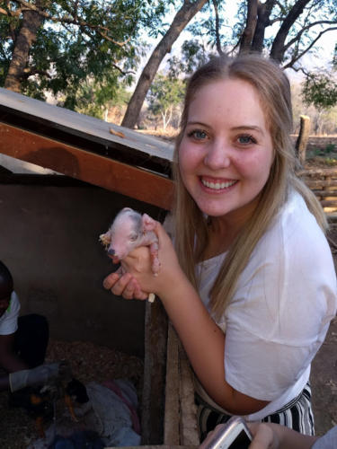 Holding the "runt" pig